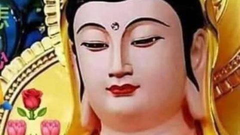 SỐNG TRỌN NGÀY AN VUI VÀ TỈNH THỨC