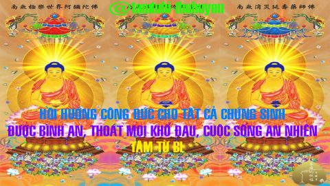 LỜI PHẬT DẠY - GIẢI NGHĨA QUY Y TAM BẢO | PHẬT PHÁP ỨNG DỤNG