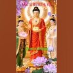 LÒNG TỪ BI – KHỞI NGUỒN CỦA TỰ DO VÀ HẠNH PHÚC | LỜI PHẬT DẠY