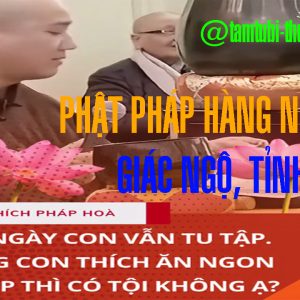 Trích Bài giảng của thầy Thích Pháp Hoà nói về việc Tu tập, các vị Bồ tát | Phật pháp hàng ngày